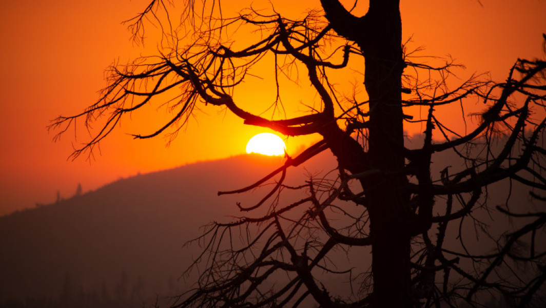 SUA se confruntă cu temperaturi extreme în weekend și incendii de vegetație în California