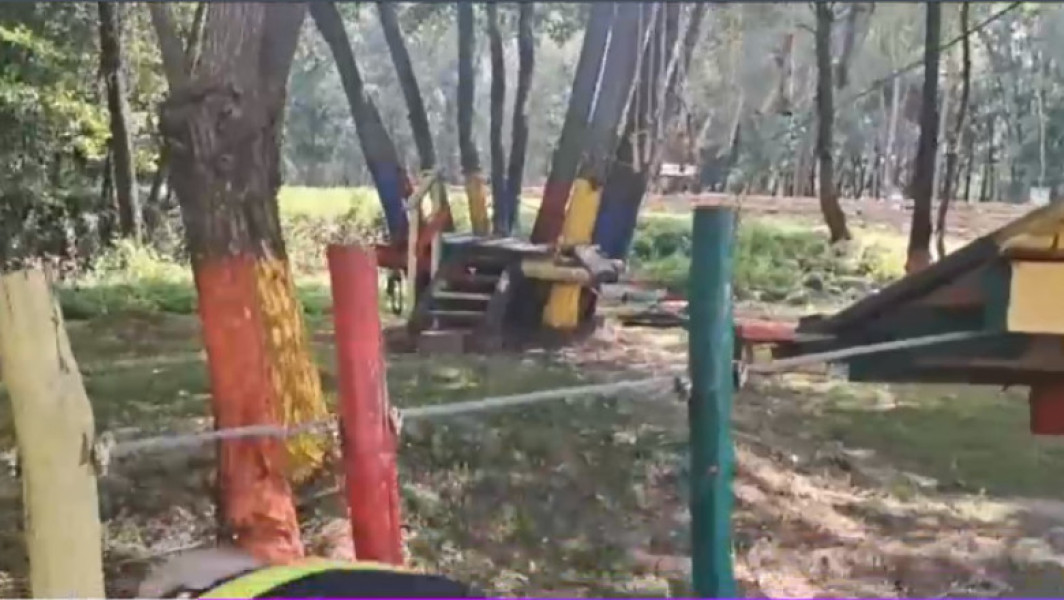 Accident într-un parc de distracții din Hunedoara: Patru copii răniți după ce cablul unei tiroliene s-a rupt