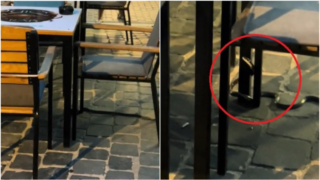 Video Cu șarpele la masă. Momentul care i-a șocat pe clienții unei terase din centrul Brașovului