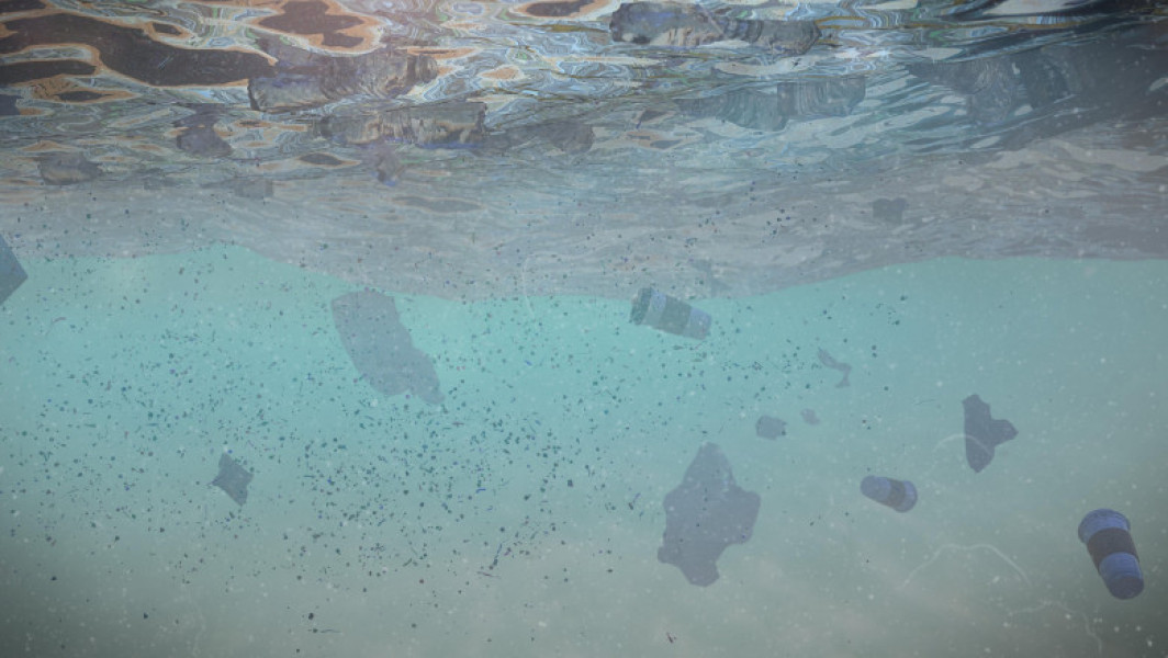 Studiu canadian dezvăluie prezența alarmantă a microplasticelor în fileurile de pește
