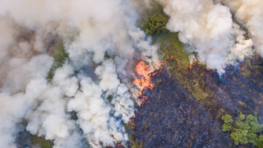 Record de incendii de vegetație în România, conform ANPM