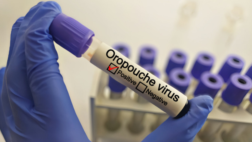 Alerta epidemiologică privind virusul Oropouche