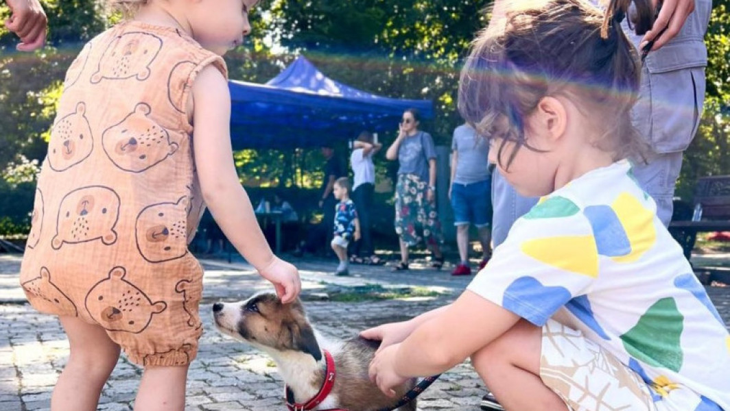 ASPA organizează un nou târg de adopții de căței