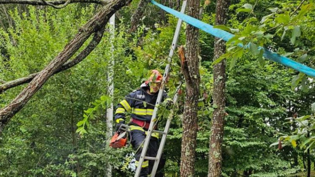 Furtuna doboară copaci și blochează accesul la Mănăstirea Prislop în județul Hunedoara