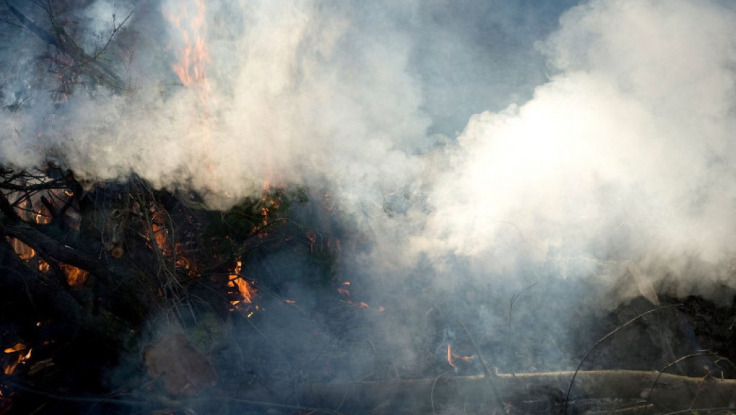 Incendiu de vegetație în pădurile din Baile Olanesti