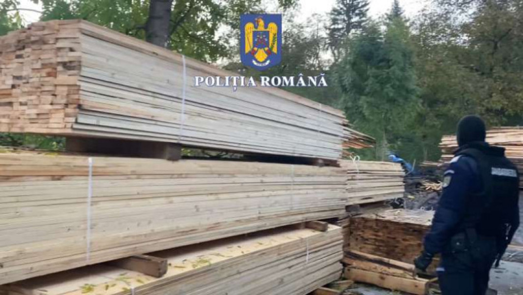 Poliția din Bistrița-Năsăud realizează percheziții în cadrul unei acuzații de infracțiuni silvice și fals informatic