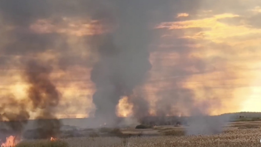 Incendiu de vegetație în Delta Neajlovului, afectând 60 de hectare