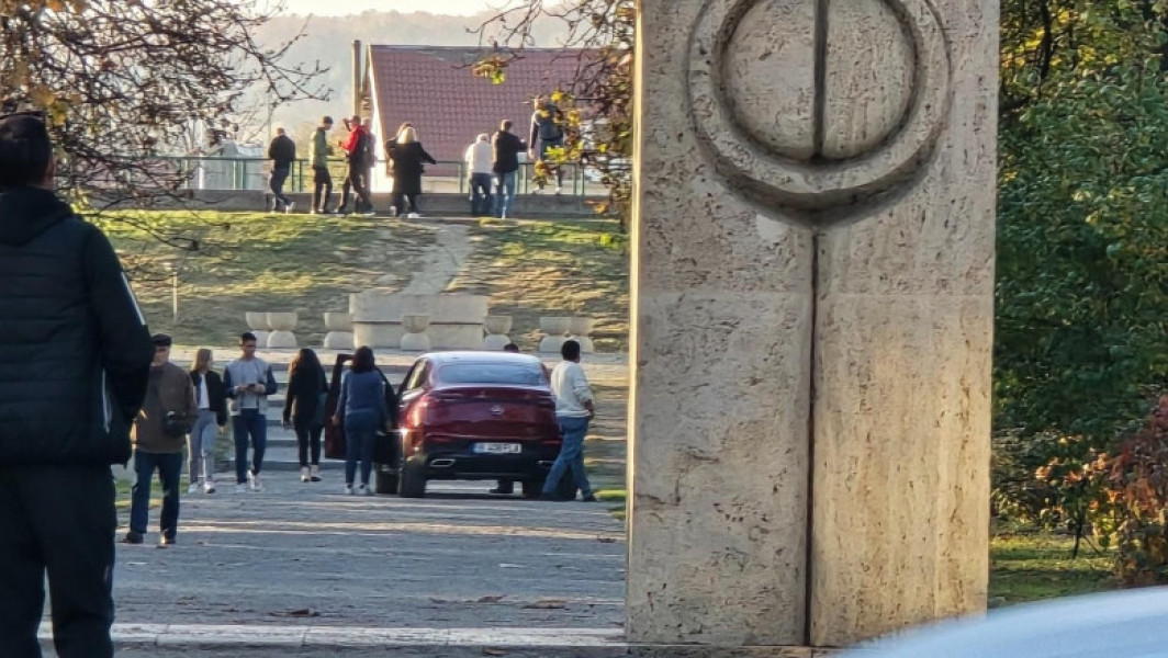 Femeie amendată cu 1.000 de lei după ce a intrat cu mașina în Parcul Central din Târgu Jiu