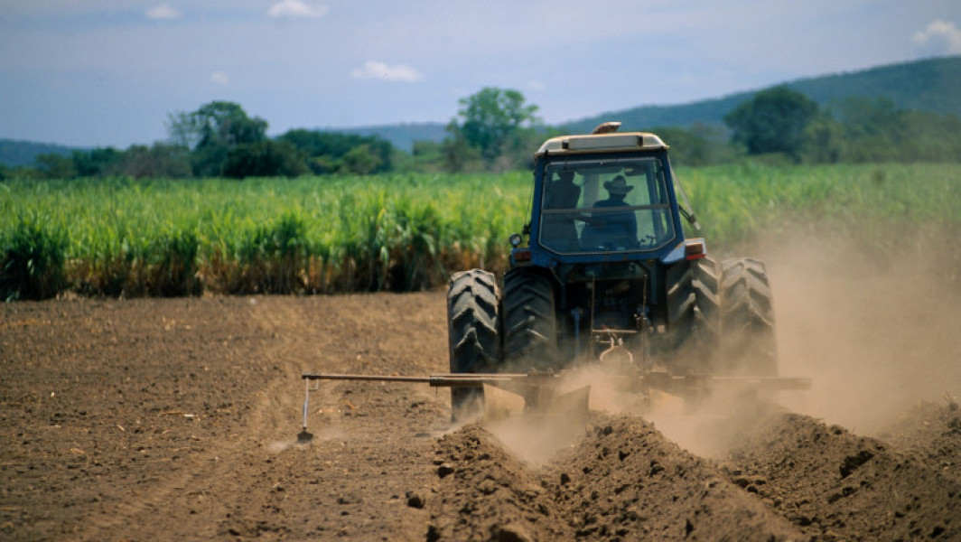 Criza de specialiști în agricultură și industria alimentară