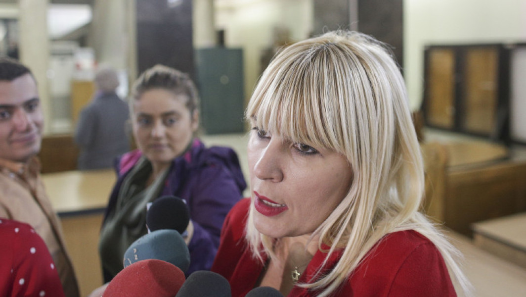 Înalta Curte de Casație și Justiție judecă cererea de revizuire a pedepsei lui Elena Udrea