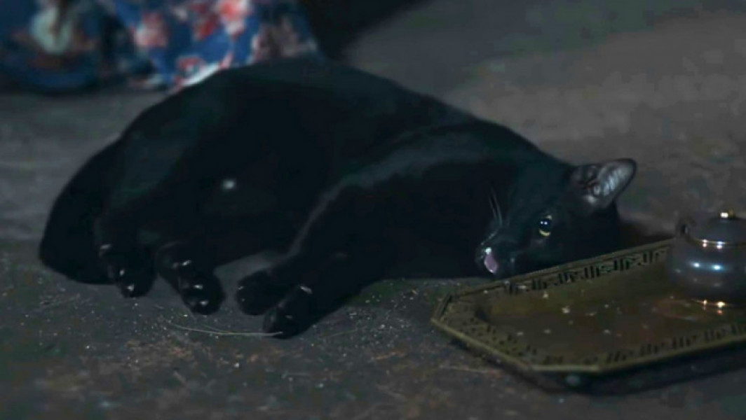 Thailandezii acuză un serial de televiziune de maltratarea animalelor
