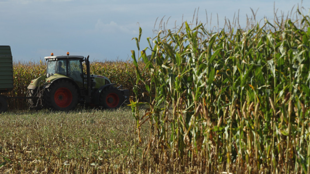 Valoarea producției agricole în Uniunea Europeană a scăzut cu 1,5% în 2023