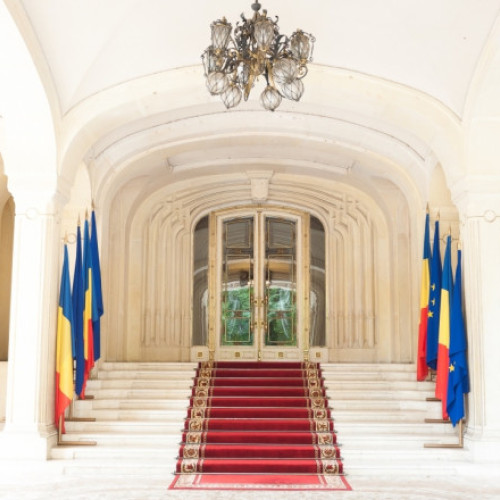 Ana Birchall și Mircea Geoană în fruntea averilor candidaților la alegerile prezidențiale