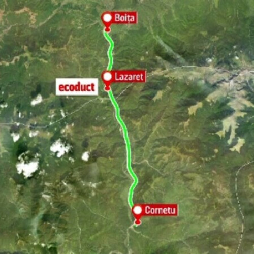 Autostrada Sibiu-Pitești: Exproprieri aprobate pentru ecoductul de la Lazaret