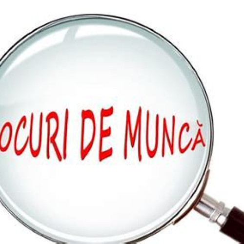 229 locuri de muncă vacante pentru vâlceni în UE/SEE