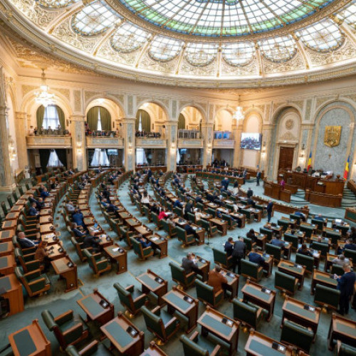 Tinerii între 16 și 18 ani pot înființa firme de exercițiu, conform unui nou proiect de lege