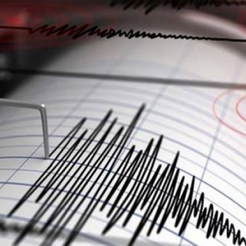 Cutremur cu magnitudinea de 3,2 în zona Vrancea