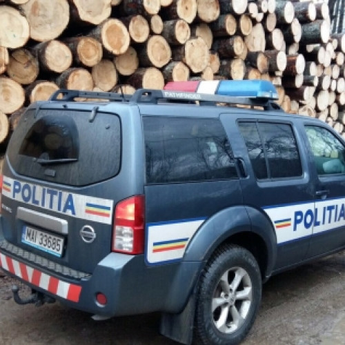 Acțiune a polițiștilor pentru combaterea delictelor silvice