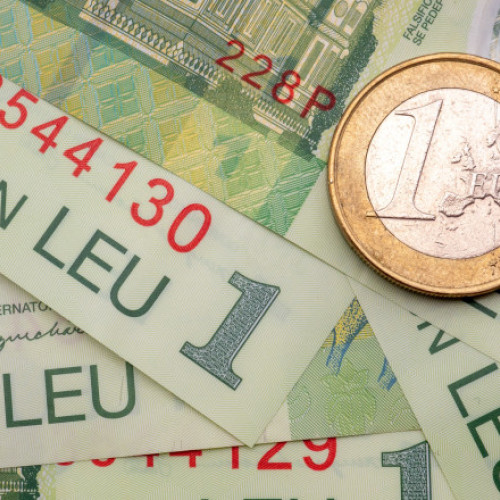 Moneda națională fluctuează pe piața valutară