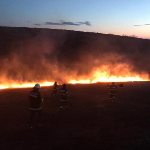 Valcea: Incendiu Devastator de Vegetatie Uscata pe 100 Hectare