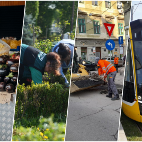 Cifră și profit pentru societățile municipale în 2024