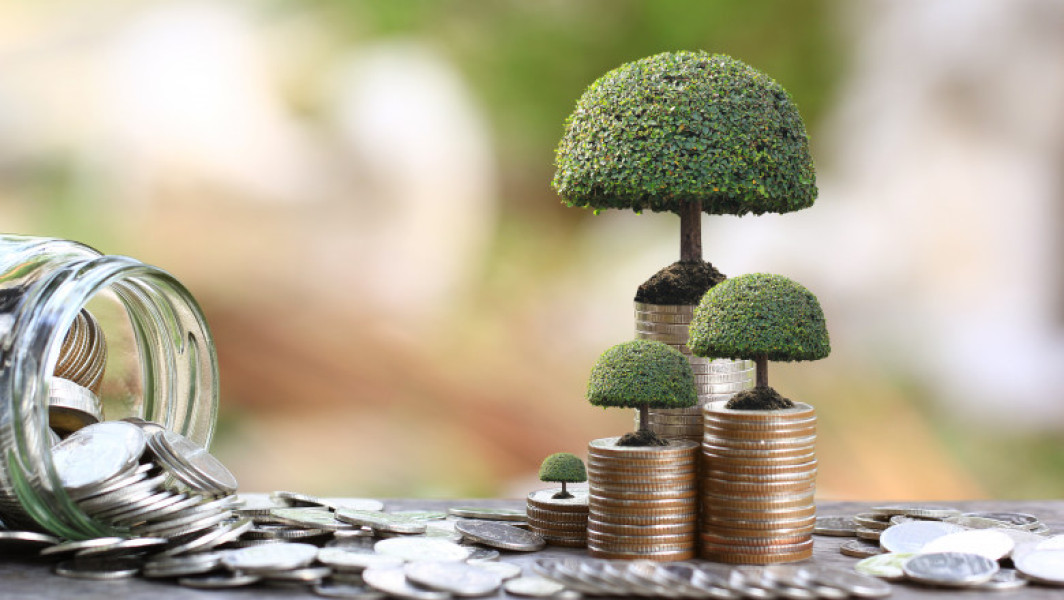 România, emise obligaţiuni verzi pentru proiecte ecologice. Interesul pentru finanțări depășește 10 miliarde euro