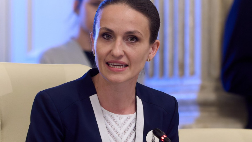 Ministrul de Externe, Oana Ţoiu, despre vizita din 2014 la Moscova