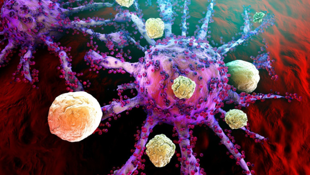 Mutațiile genetice și potențiala oprire a cancerului în lumina noilor studii
