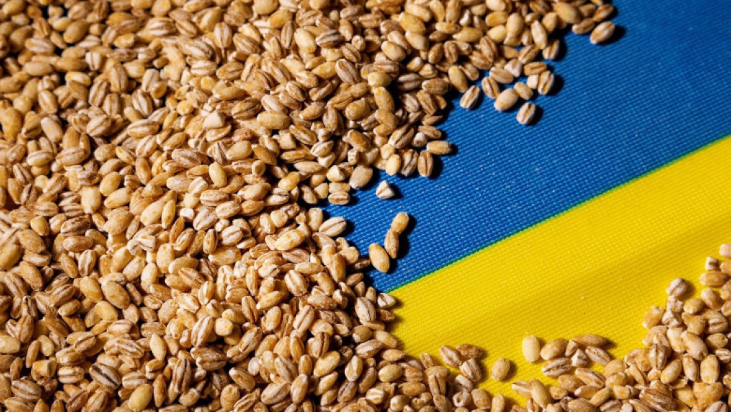Ministerul Agriculturii nu a emis licențe de import pentru produse agricole din Ucraina în acest an