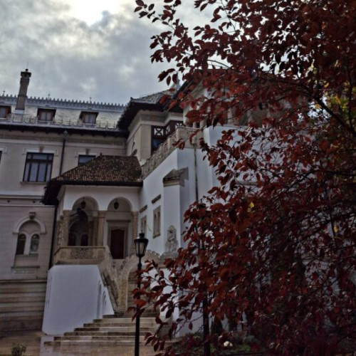 Vizitarea spațiilor exterioare de la Palatul Cotroceni suspendată sezonier