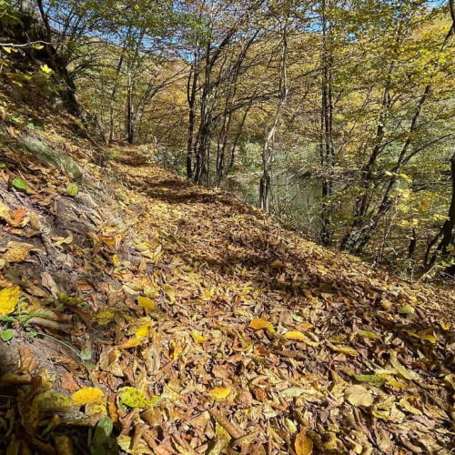 Vreme caldă și în general senină în Alba între 31 octombrie și 2 noiembrie