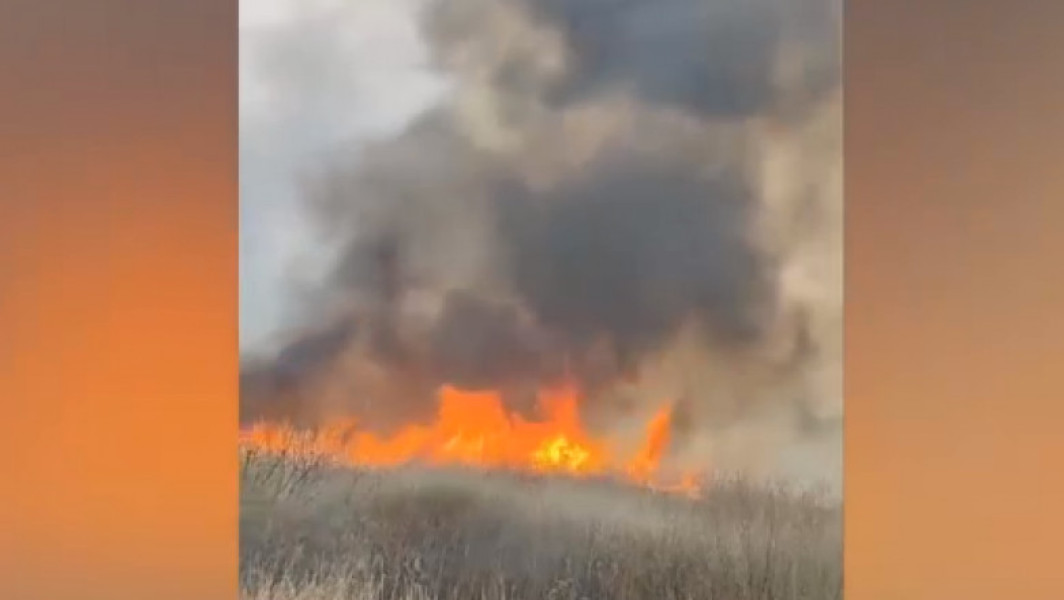 Puternic incendiu de vegetaţie în Delta Neajlovului stins de pompieri, intervenţia a durat 12 ore
