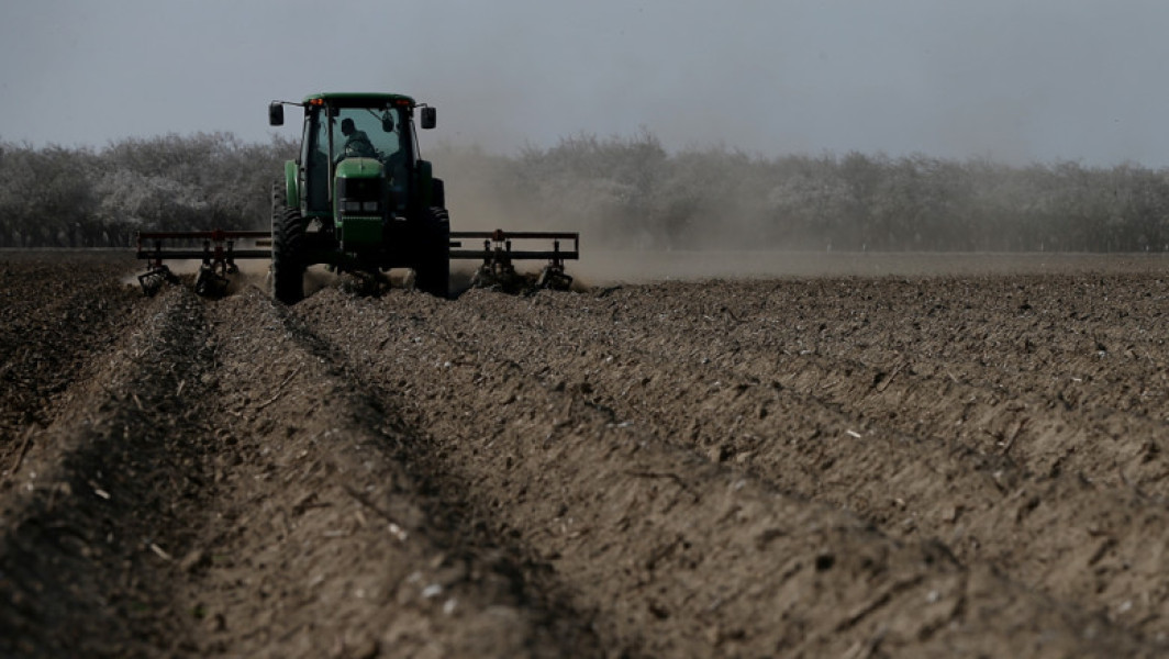 APIA a deblocat plăţile şi autorizează plata a 1,5 miliarde de lei pentru fermieri