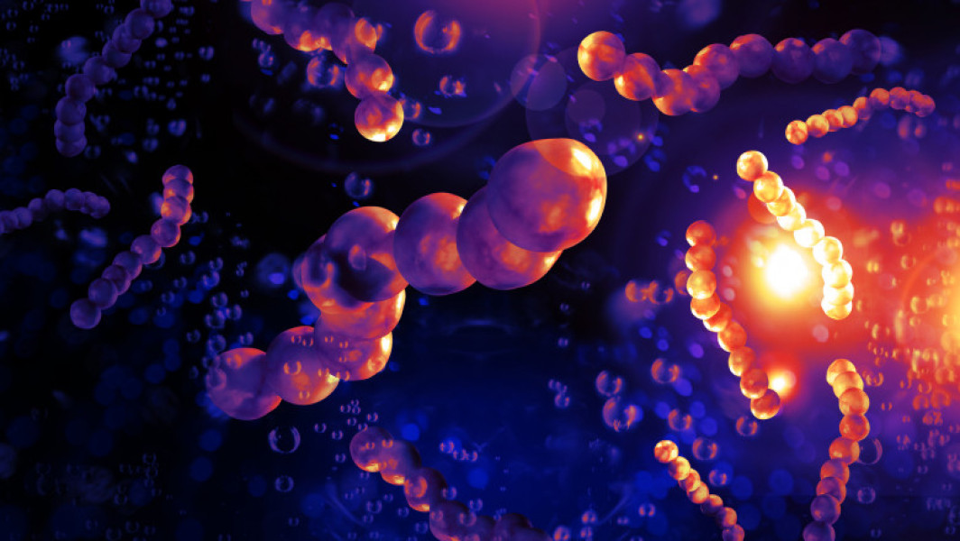 Rata mortalității din cauza bolii bacteriene în creștere rapidă în Japonia, autoritățile nu pot explica motivele conform unui expert în boli infecțioase