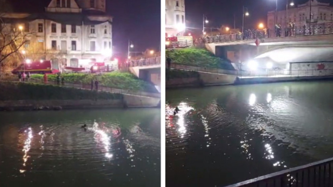 Pompierii caută o persoană în râul Bega, unde s-au găsit o geantă și doi câini.