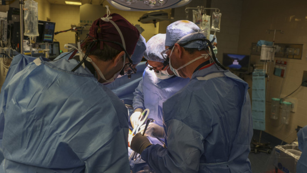 Premiera mondială a unui transplant de rinichi modificat genetic de porc la un pacient în viață