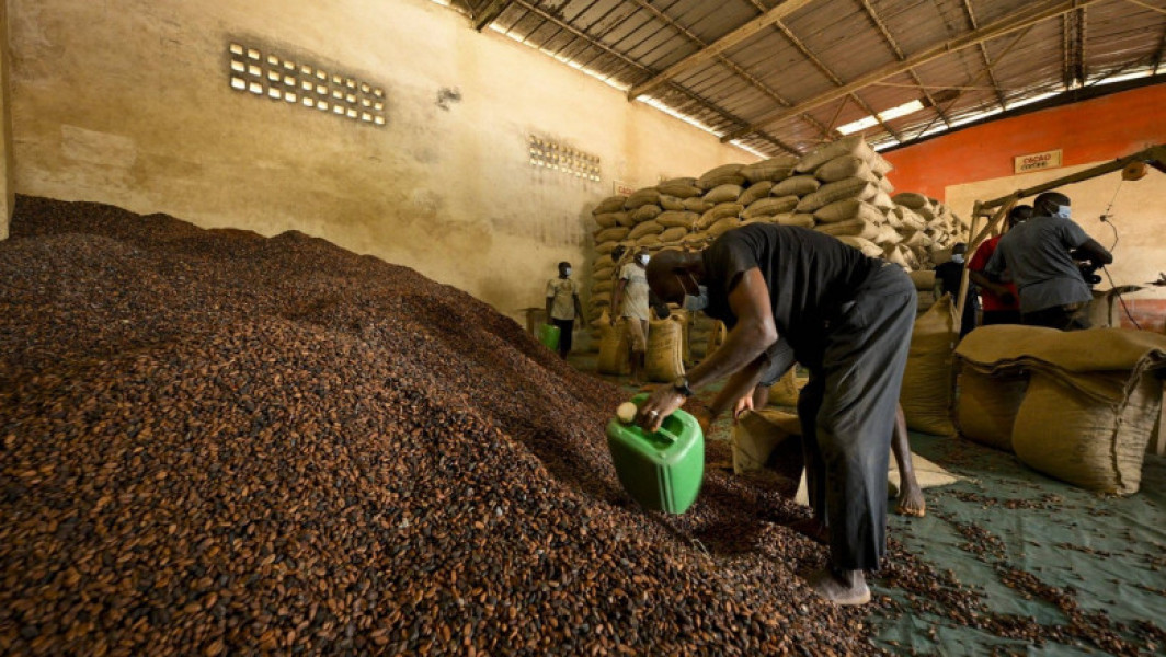 Record de preț la boabele de cacao: scumpirea ciocolatei și îngrijorări pentru aprovizionare