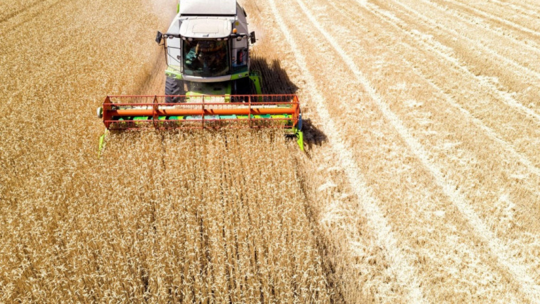 Scăderea exporturilor de cereale ale României cu 4,1%, potrivit datelor INS