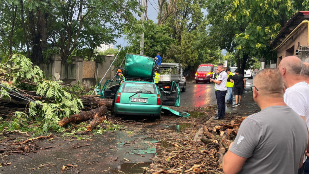 Vântul puternic provoacă pagube în București: Copaci și stâlpi doborâți, intervenții ale pompierilor și probleme cu tramvaiele