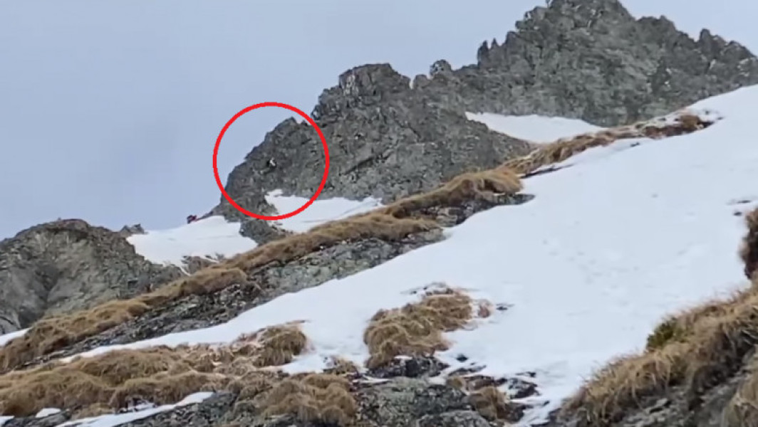 Salvamontiștii au intervenit pentru a salva un turist străin în munții Făgăraș
