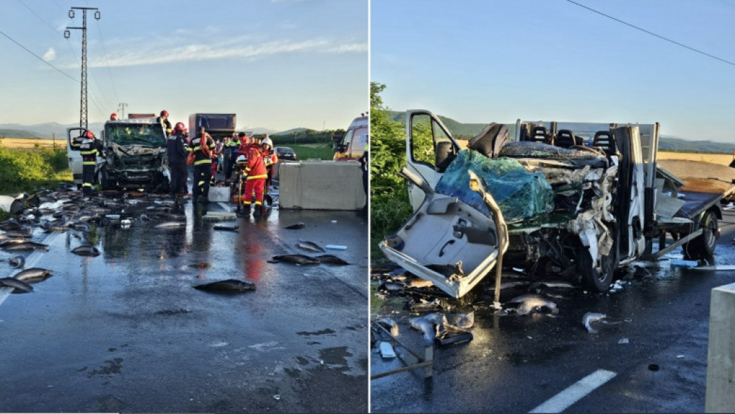 Video&Foto Accident mortal pe DN1, în Prahova. În urma impactului a două vehicule, sute de pești au ajuns pe șosea