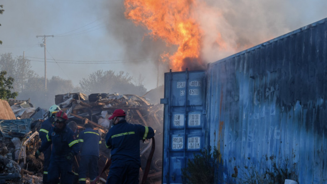 Prima victimă a incendiilor de vegetație din Grecia